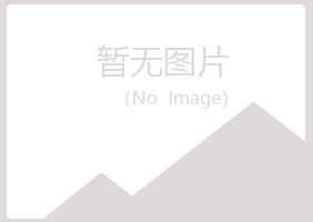 陕西夏岚能源有限公司